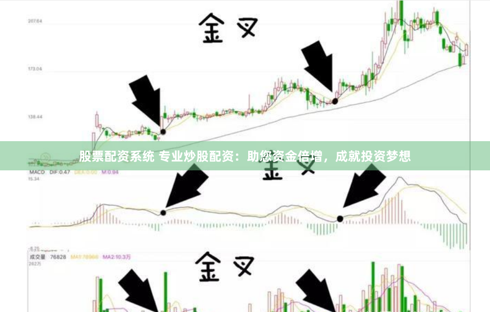 股票配资系统 专业炒股配资：助您资金倍增，成就投资梦想